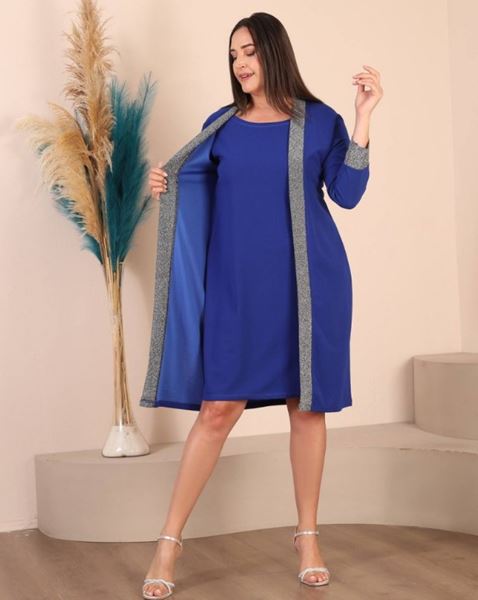 Picture of CURVY GIRL OCCASION DRESS